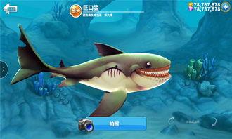 饥饿鲨最新版爆料,全新功能与升级亮点抢先看  第1张