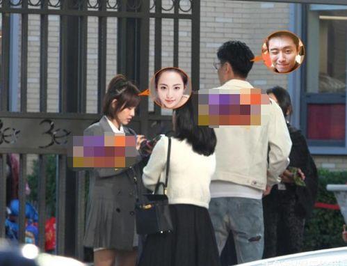 娱乐爆料张嘉倪是哪一期,揭秘明星幕后故事！  第1张